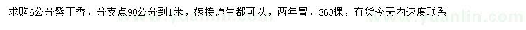 求購6公分紫丁香