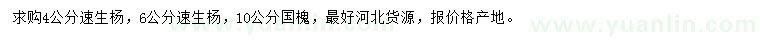 求購(gòu)4、6公分速生楊、10公分國(guó)槐