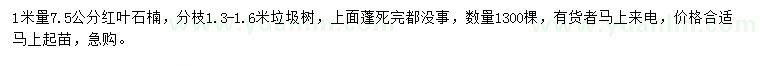 求購(gòu)1米量7.5公分紅葉石楠