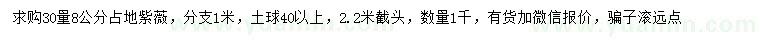 求購30量8公分占地紫薇