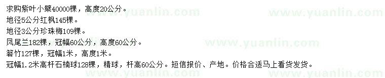 求購(gòu)紫葉小檗、紅楓、珍珠梅等