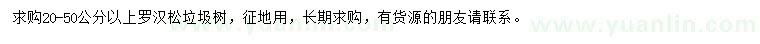 求購(gòu)20-50公分以上羅漢松