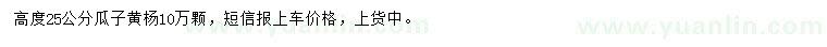 求購高25公分瓜子黃楊