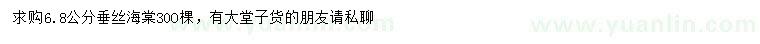 求購6.8公分垂絲海棠