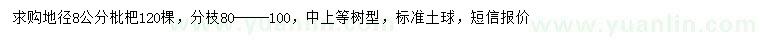 求購(gòu)地徑8公分枇杷