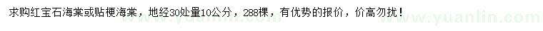 求購地徑30處量10公分紅寶石海棠、鐵梗海棠