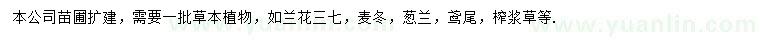 求購蘭花三七、麥冬、蔥蘭等