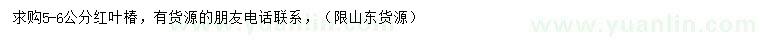 求購5-6公分紅葉椿