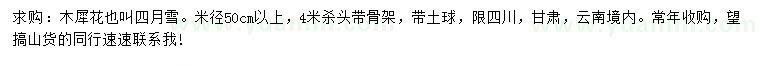 求購米徑50公分以上木犀花
