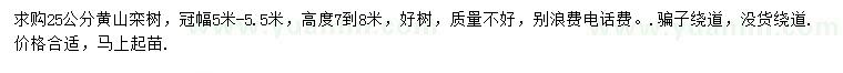 求購25公分黃山欒樹