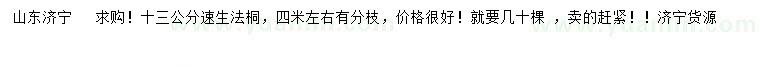 求購13公分速生法桐