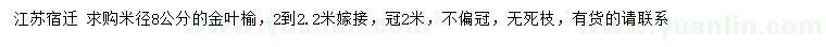 求購米徑8公分金葉榆