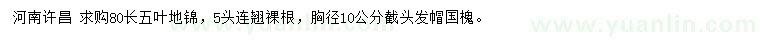 求購(gòu)五葉地錦、連翹、國(guó)槐