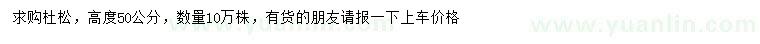 求購高50公分杜松