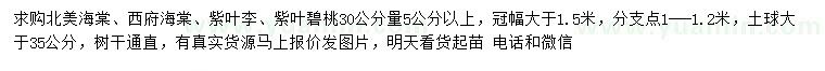 求購北美海棠、西府海棠、紫葉李等