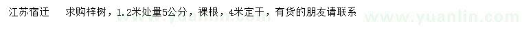求購1.2米量5公分梓樹，