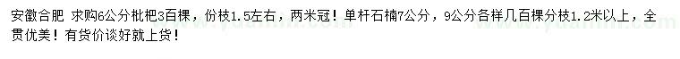 求購(gòu)6公分枇杷、7、9公分單桿石楠