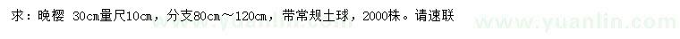 求購30公分量10公分晚櫻