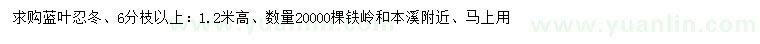 求購(gòu)高1.2米藍(lán)葉忍冬