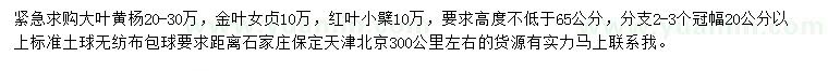 求購大葉黃楊、金葉女貞、紅葉小檗等