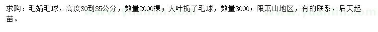 求購(gòu)毛娟毛球、大葉梔枝毛球