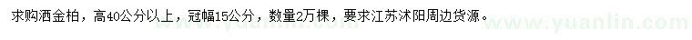 求購高40公分以上灑金柏