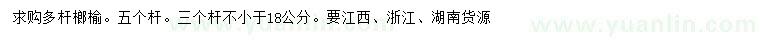 求購18公分多桿榔榆