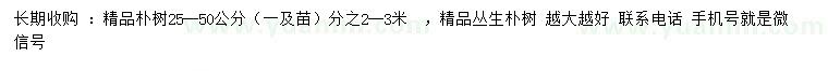 求購25-50公分樸樹