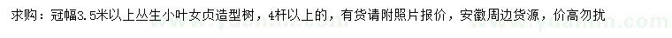求購冠幅3.5米以上叢生小葉女貞