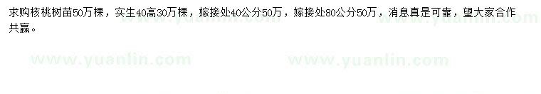 求購高40公分核桃苗