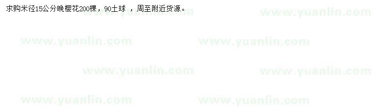 求購米徑15公分晚櫻花