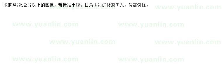 求購胸徑5公分以上國槐