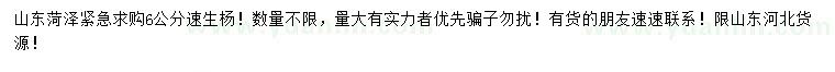 求購6公分速生楊