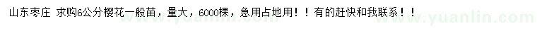 求購(gòu)6公分櫻花