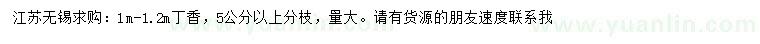 求購1-1.2米丁香