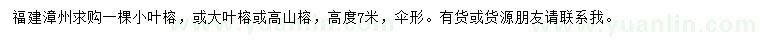 求購小葉榕、大葉榕、高山榕
