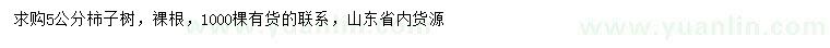 求購5公分柿子樹