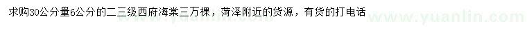 求購(gòu)30公分量6公分西府海棠