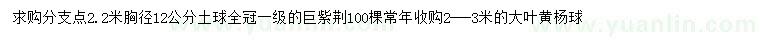 求購(gòu)胸徑12公分巨紫荊、2、3米大葉黃楊球