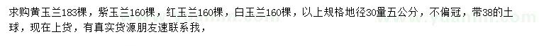 求購黃玉蘭、紫玉蘭、紅玉蘭等