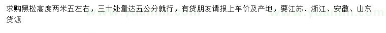 求購高2.5米黑松