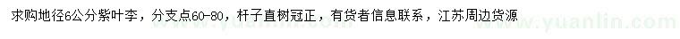 求購(gòu)地徑6公分紫葉李