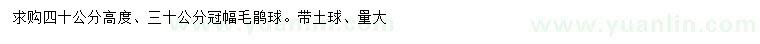 求購高40公分毛鵑球
