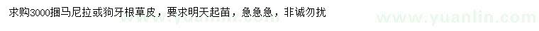 求購馬尼拉、狗牙根草皮