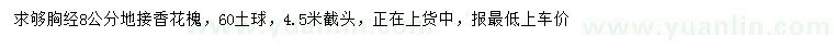 求購胸徑8公分地接香花槐