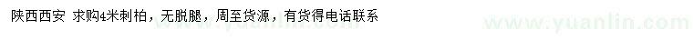 求購4米刺柏
