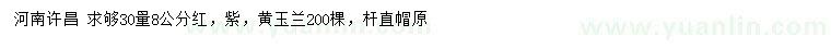 求購30量8公分紅、紫、黃玉蘭
