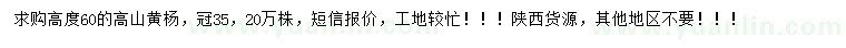 求購高60公分高山黃楊