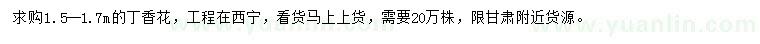求購1.5-1.7米丁香花