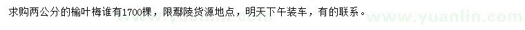 求購(gòu)2公分榆葉梅